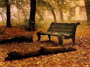 paisaje-en-otoño-con-ojas-caídas-